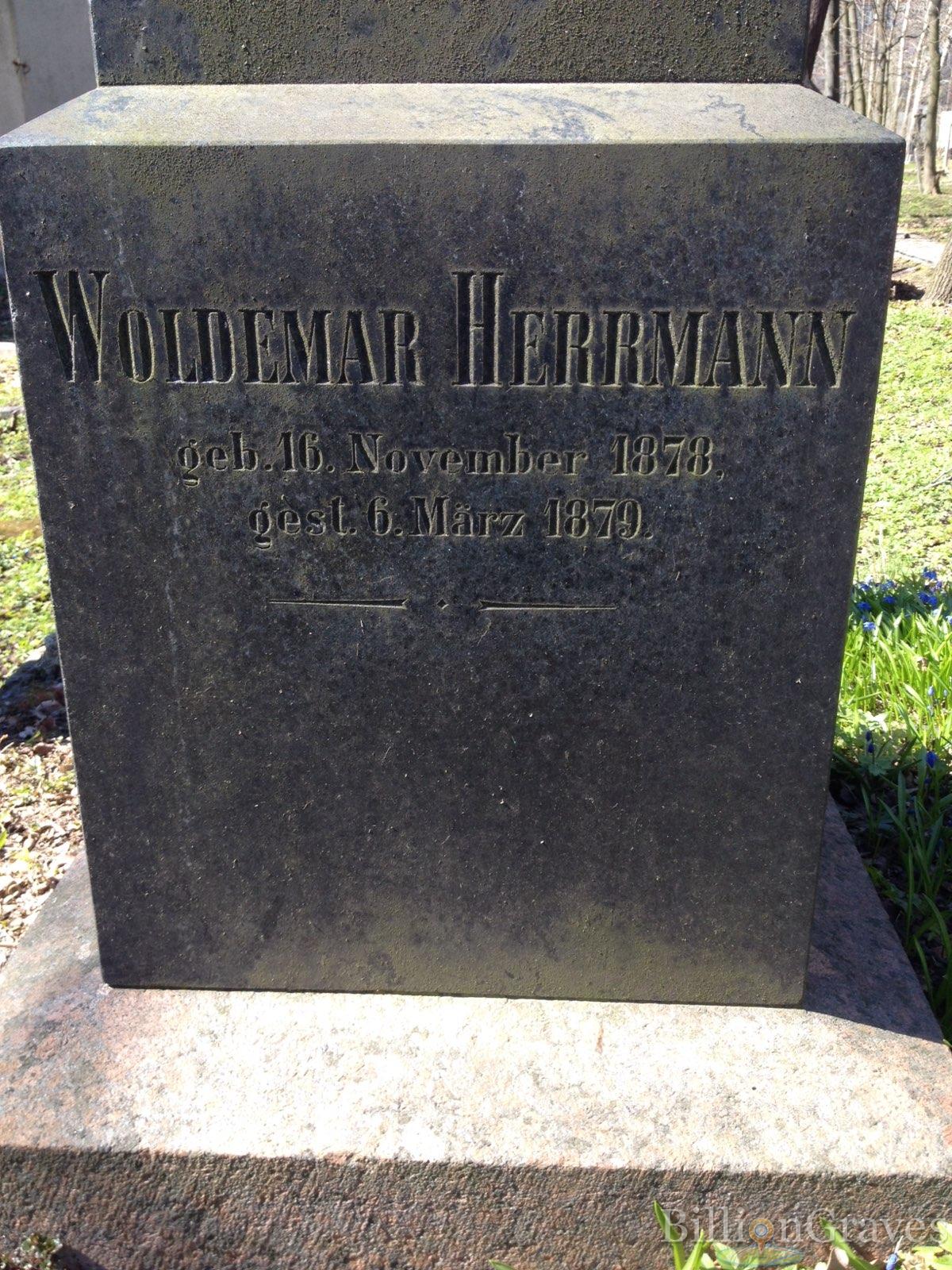 Herrmann Jenny