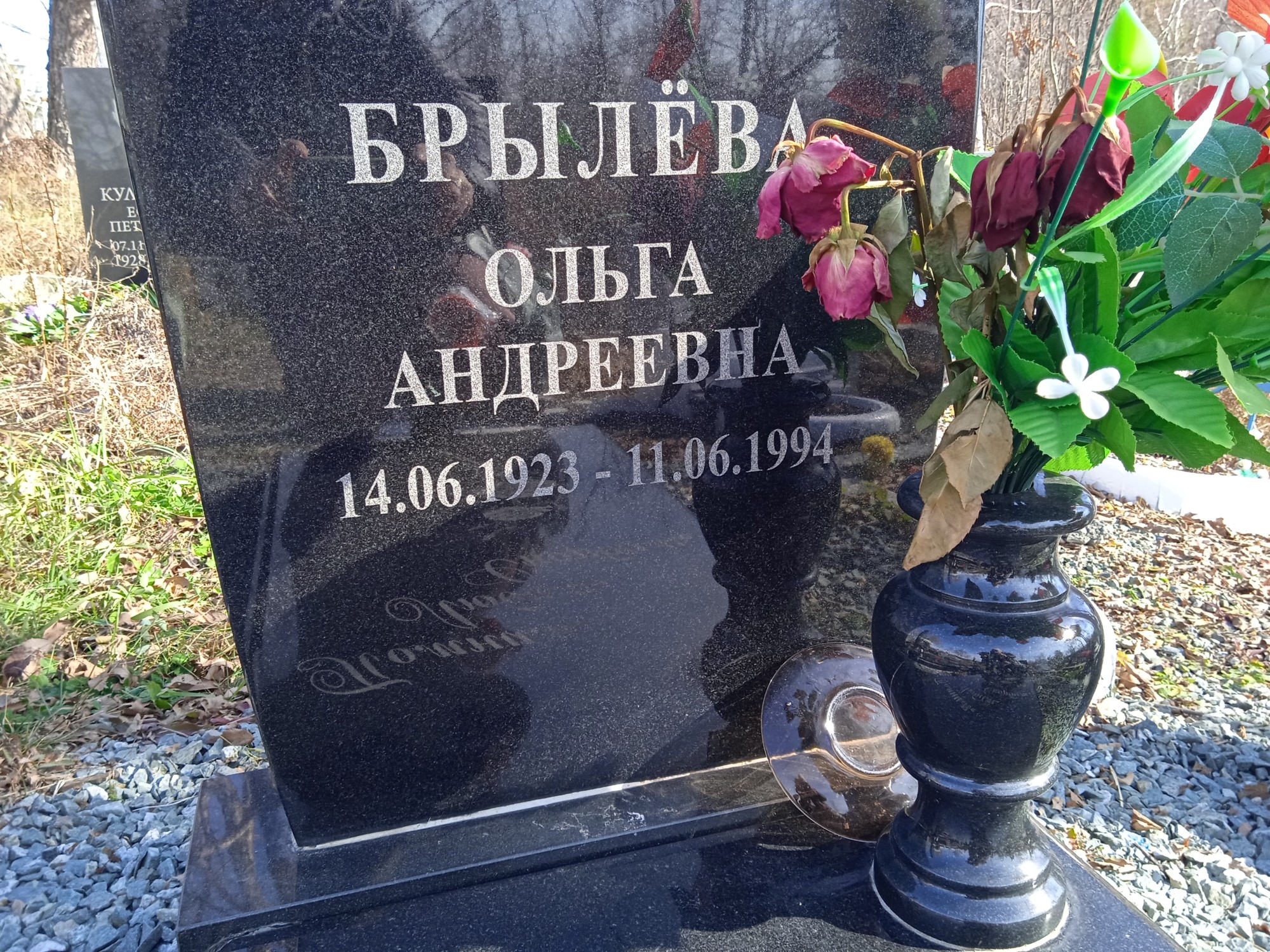 Брылева Ольга Андреевна