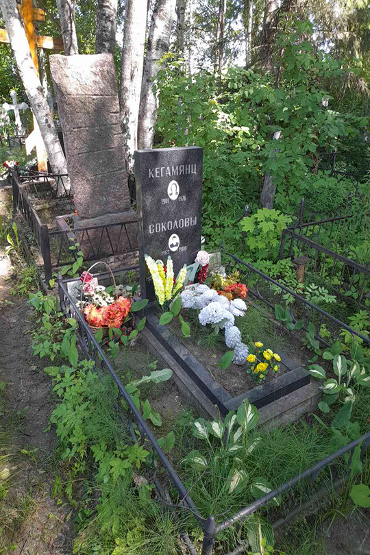 Соколов В. В.