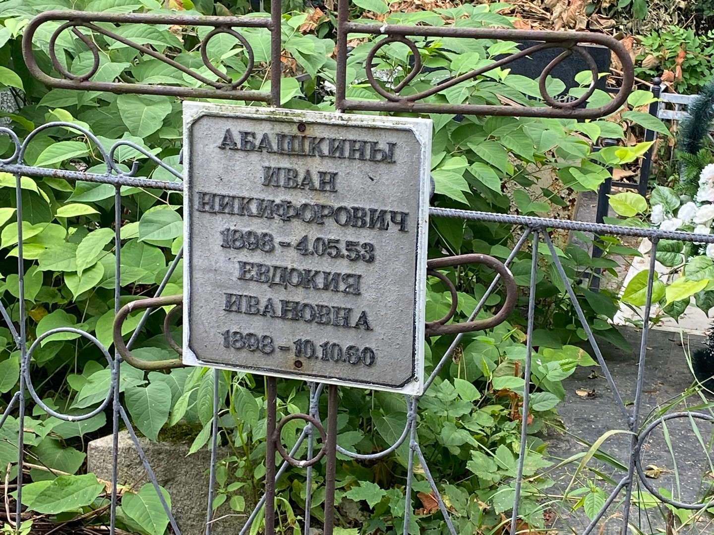 Абашкин