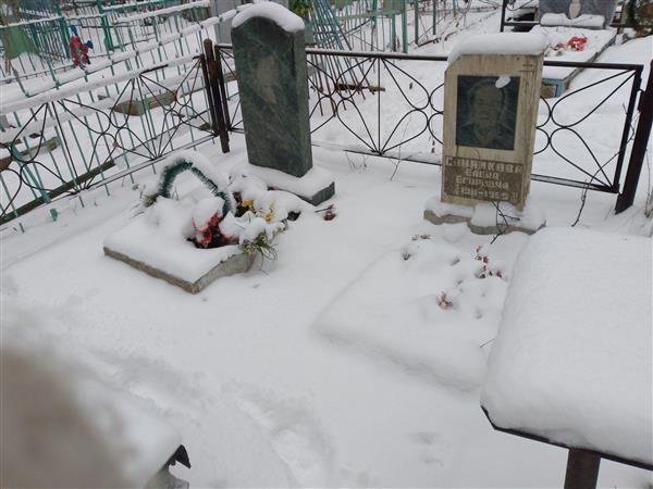 Палкина Галина Александровна