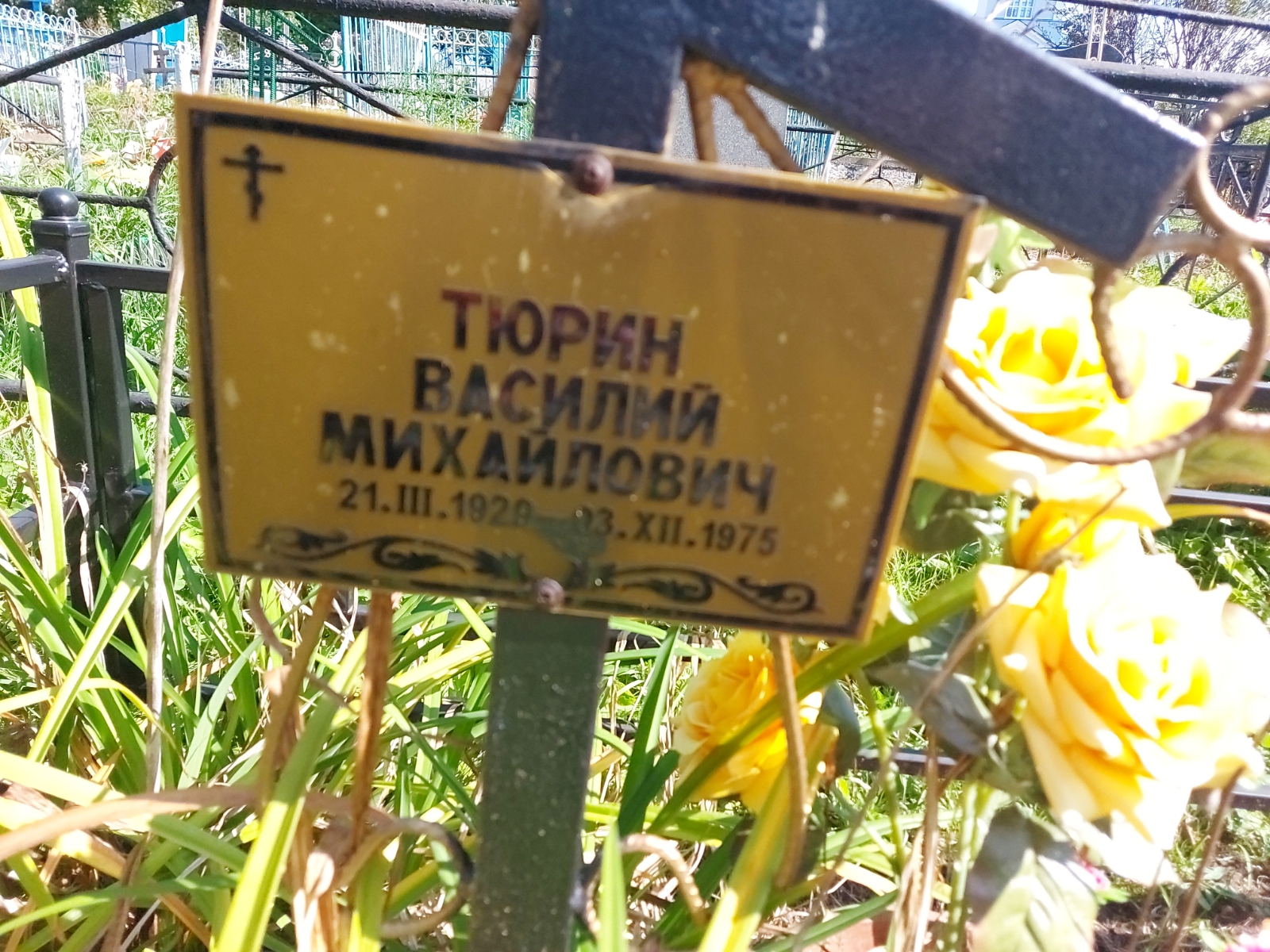 Тюрин Василий Михайлович