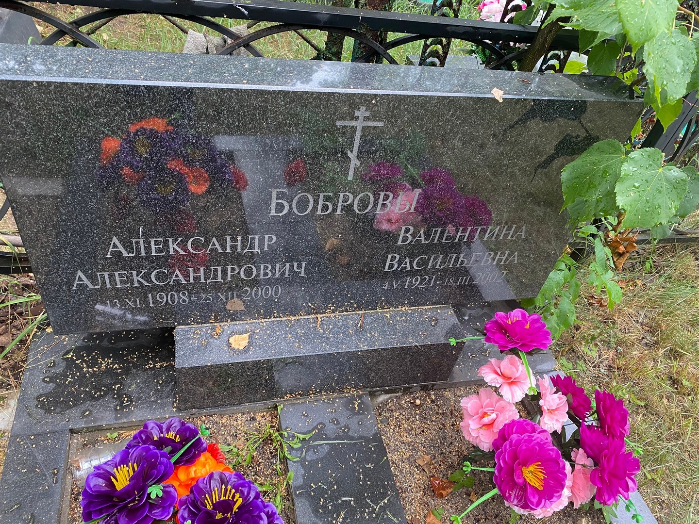Бобров