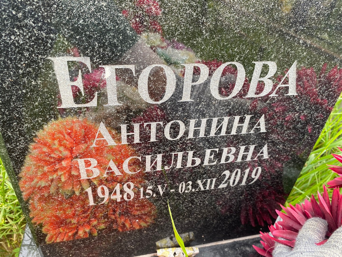 Егорова Антонина Васильевна