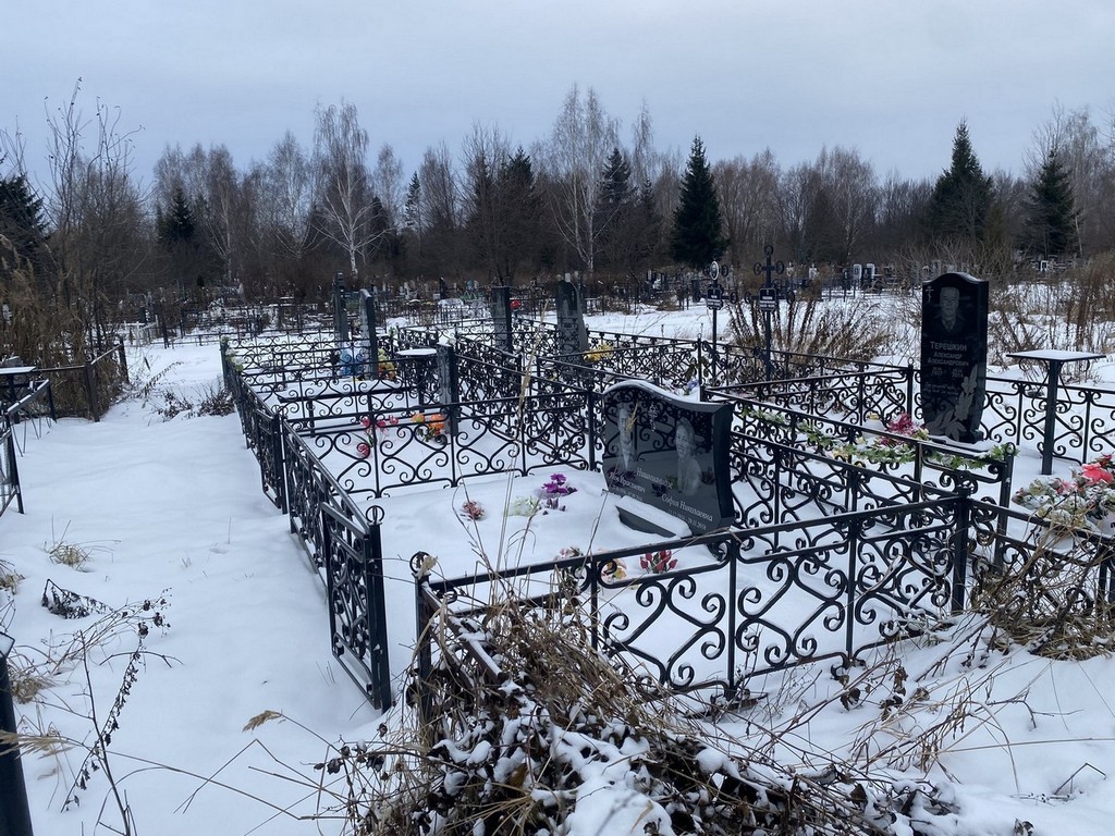 Нишнианидзе София Николаевна