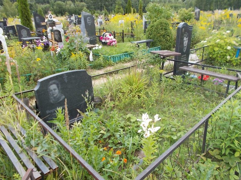 Воробьева Полина Аккендиновна
