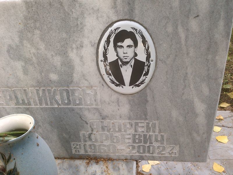 Бердников