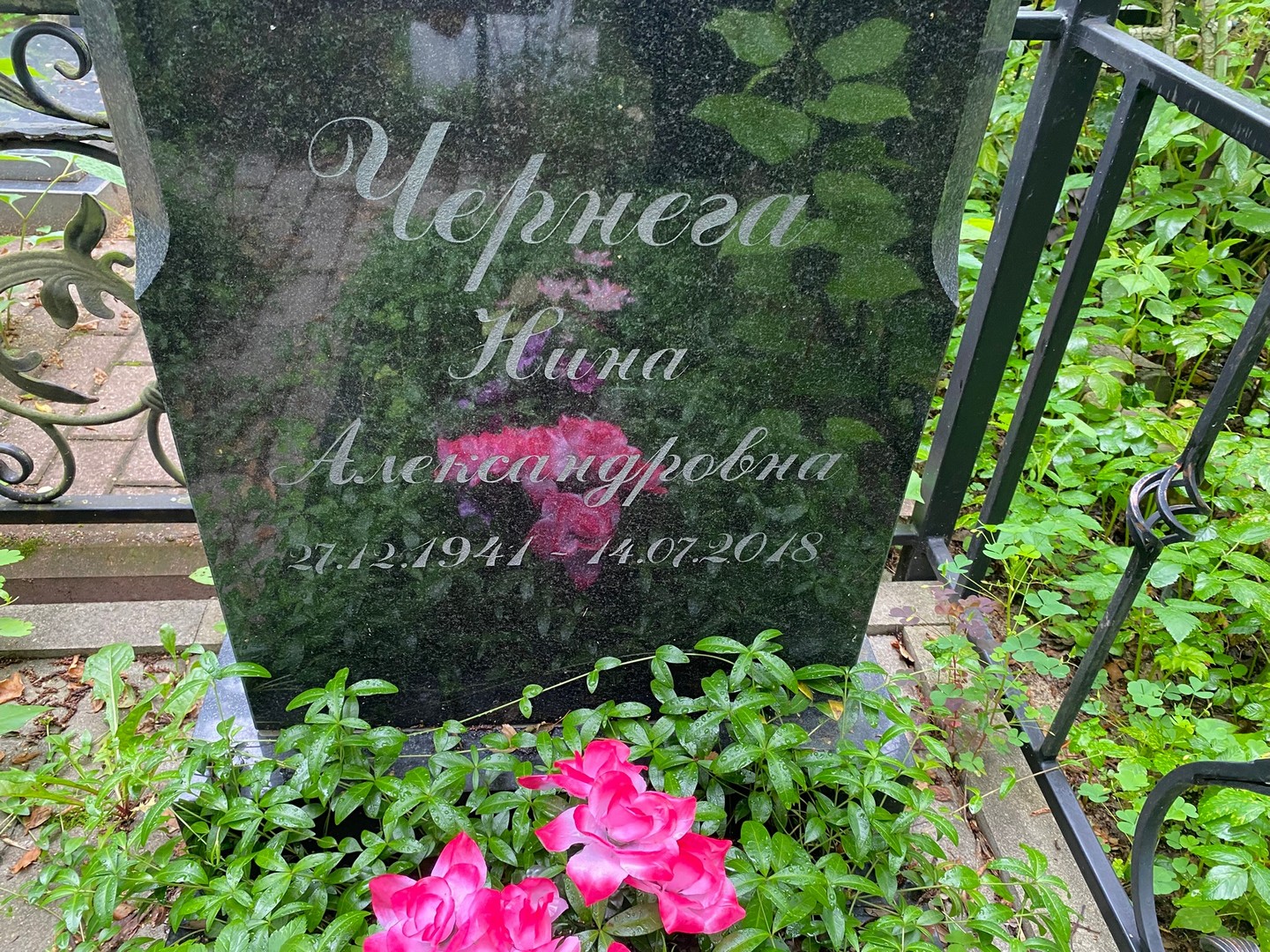 Чернега