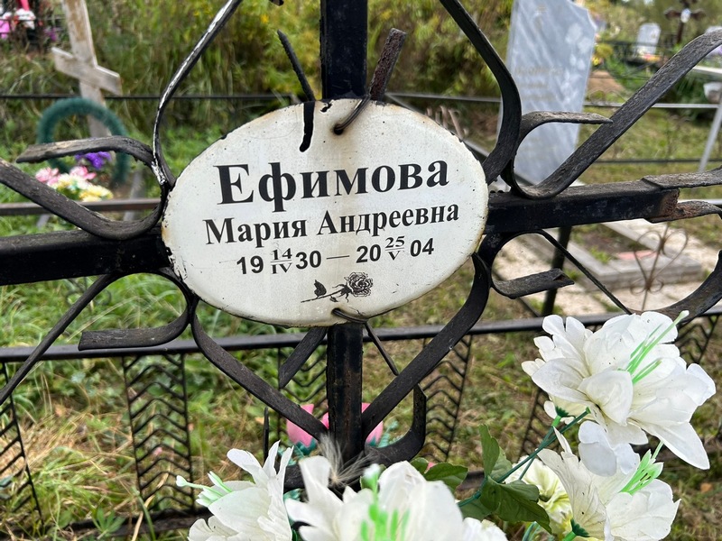 Ефимова