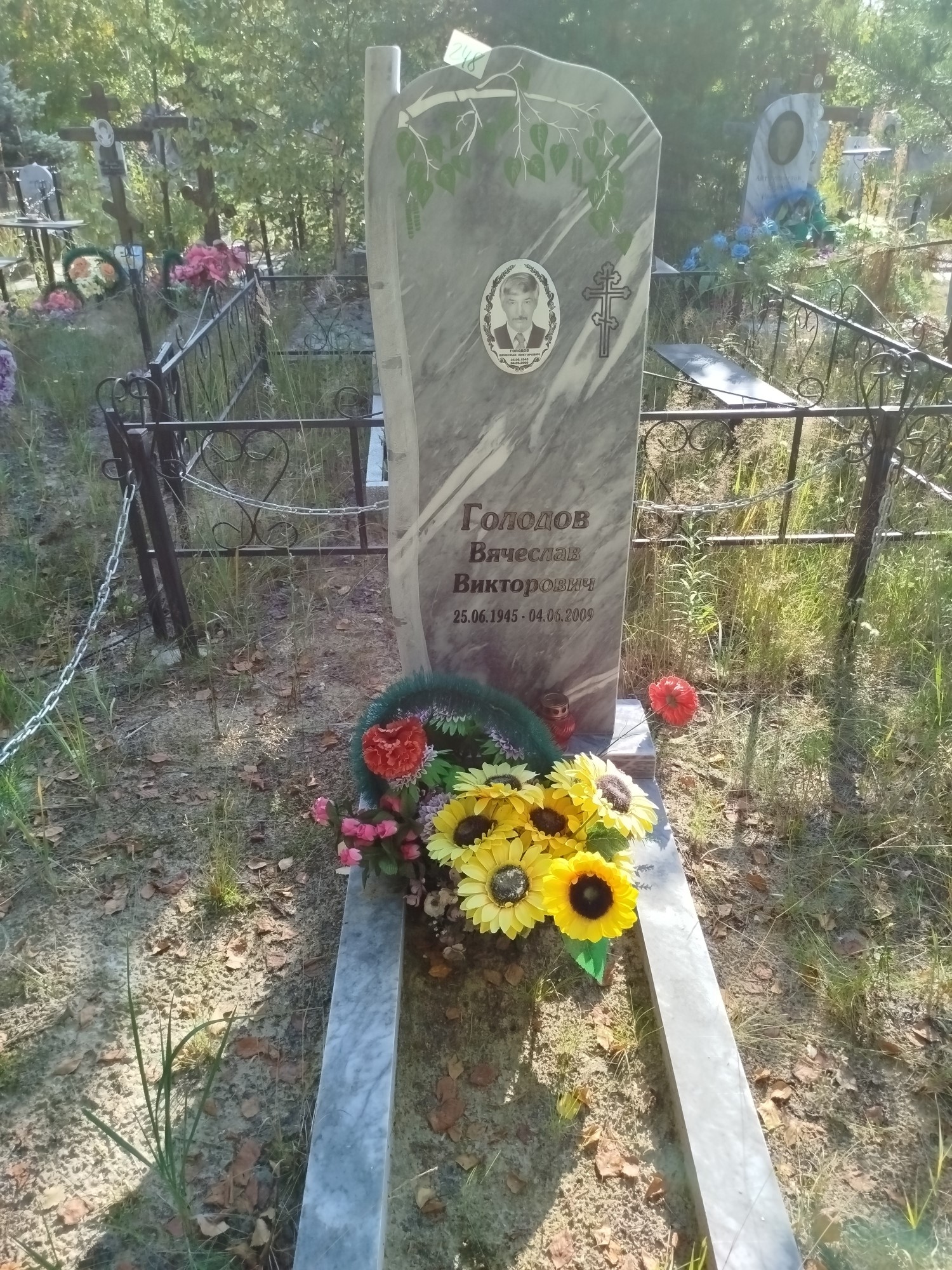 Голодов Вячеслав Викторович