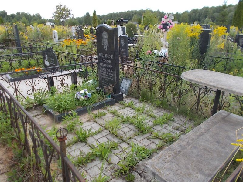 Велединский Аркадий Николаевич