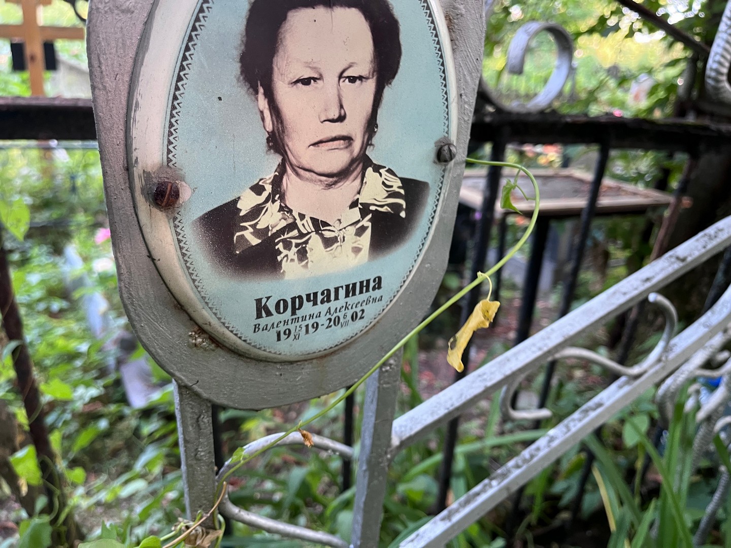 Корчагина
