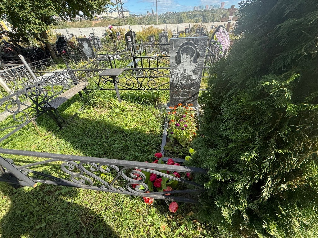 Королева Елена Владимировна