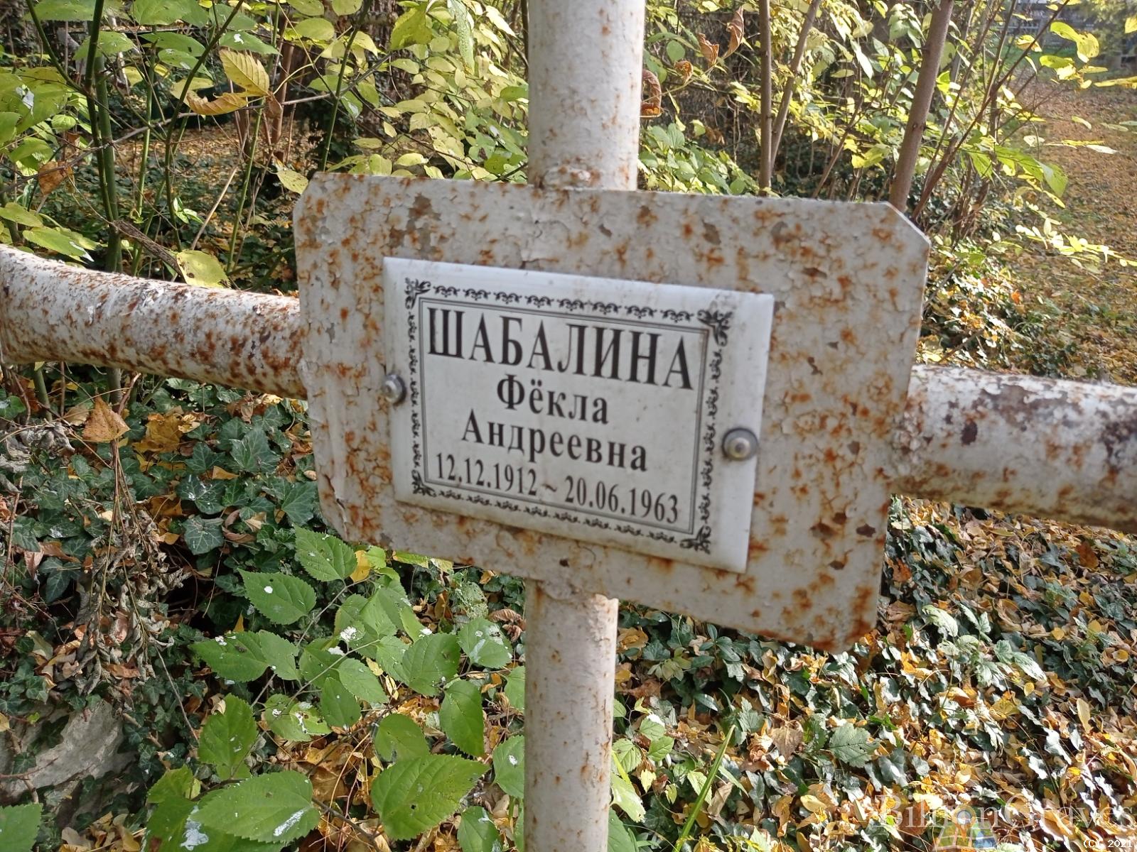 Шабалина Фёкла Андреевна