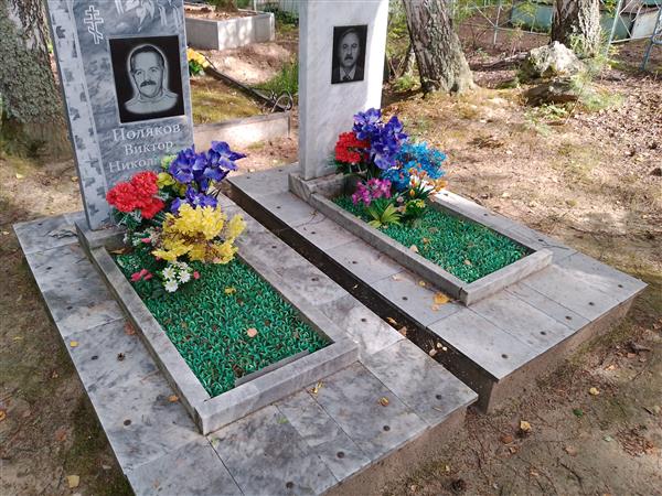 Поляков Виктор Николаевич