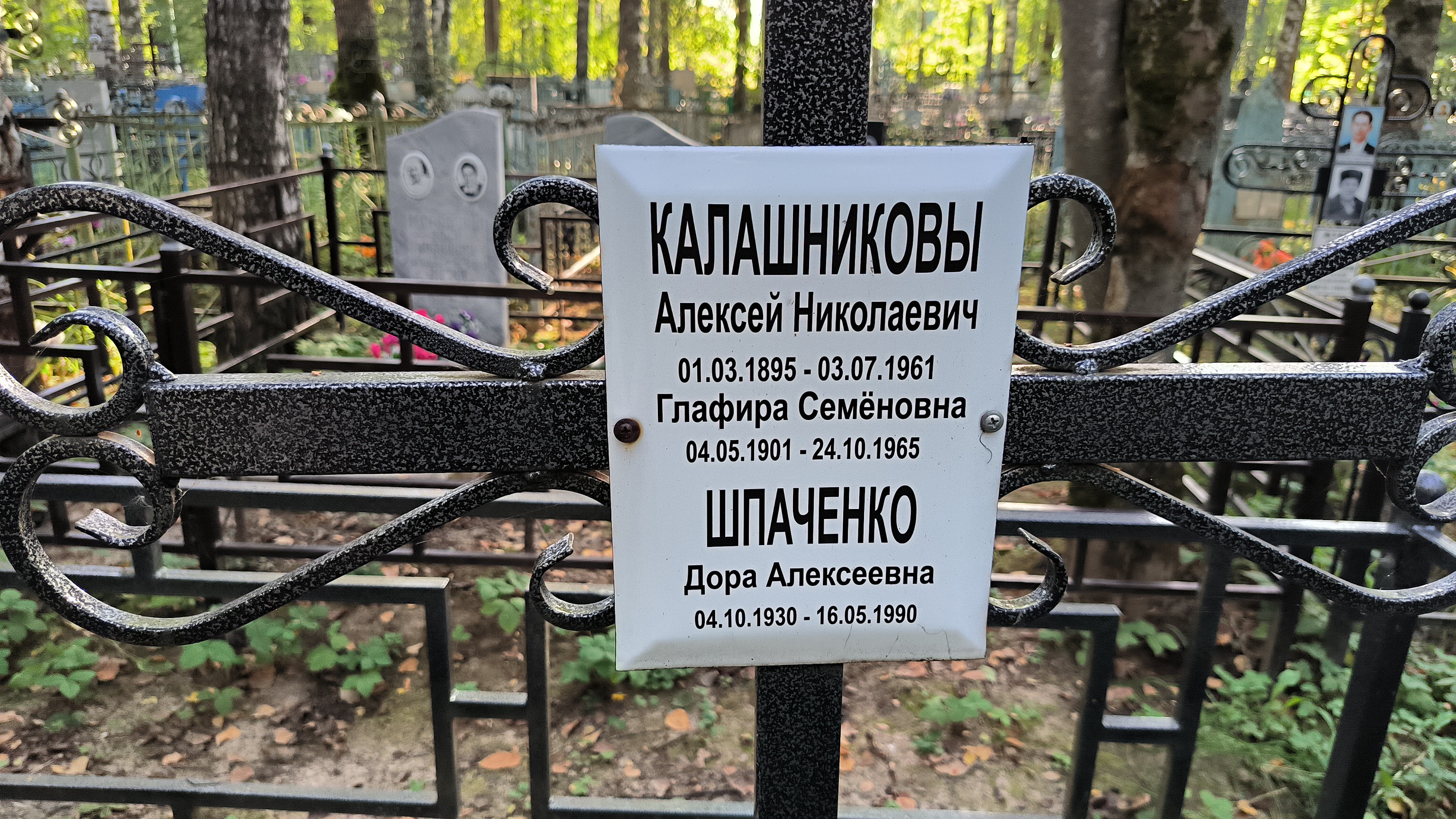 Шпаченко Дора Алексеевна