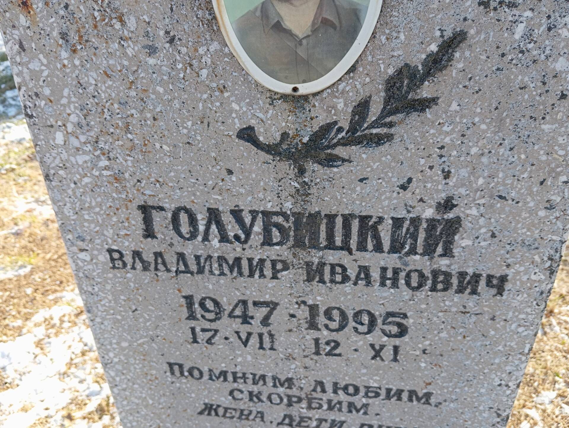 Голубицкий Владимир Иванович