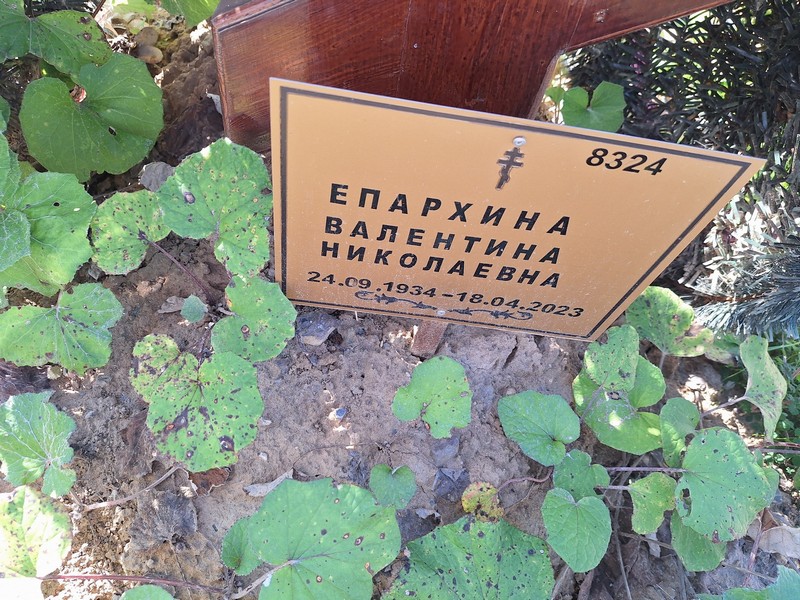Епархина