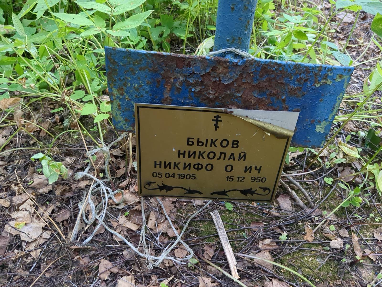 Быков Николай Никифорович