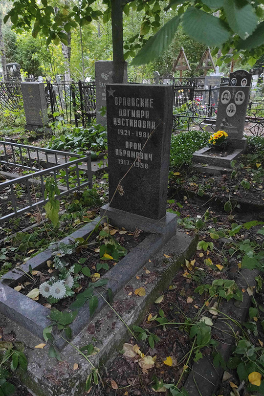 Орловский Арон Абрамович