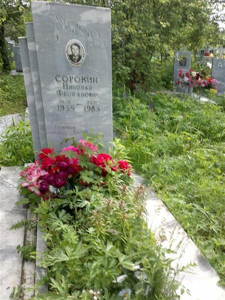 Сорокин Николай Феофанович