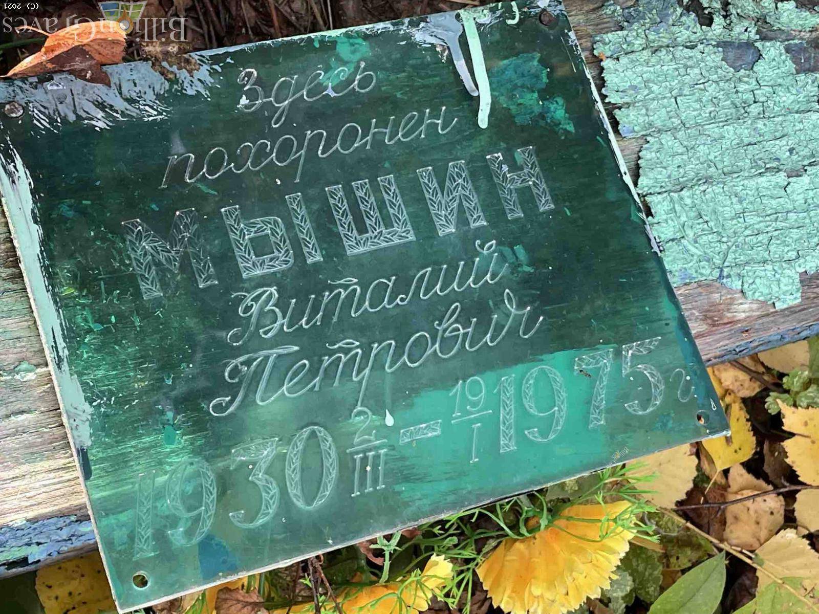 Мышин Виталий Петрович