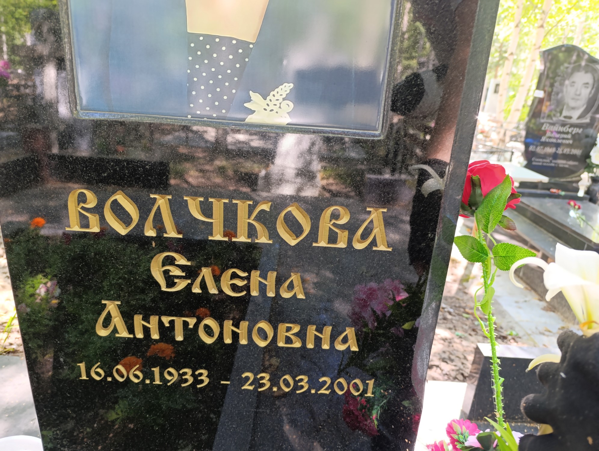 Валчкова Елена Анатольевна