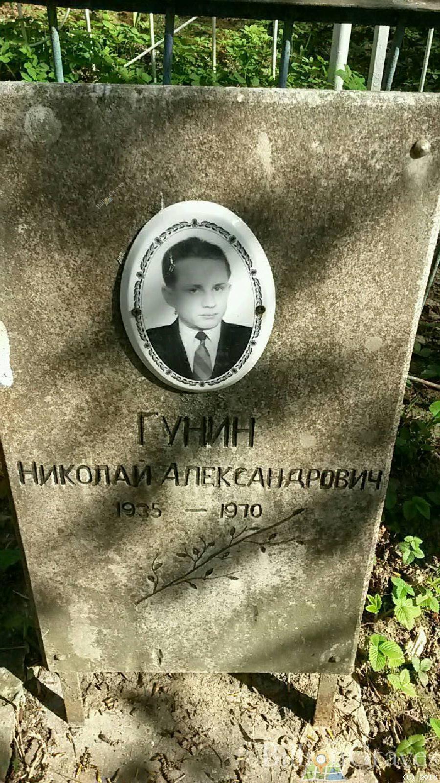 гунин александр александрович