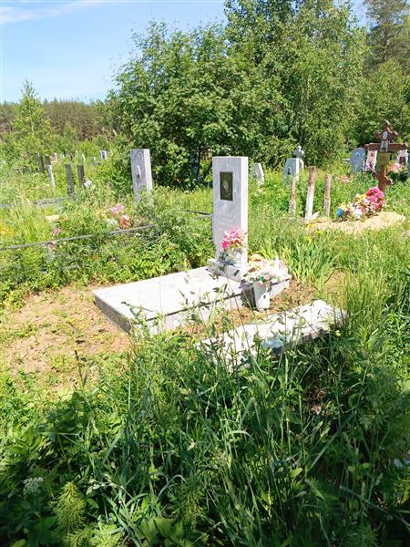 Комина Татьяна Николаевна