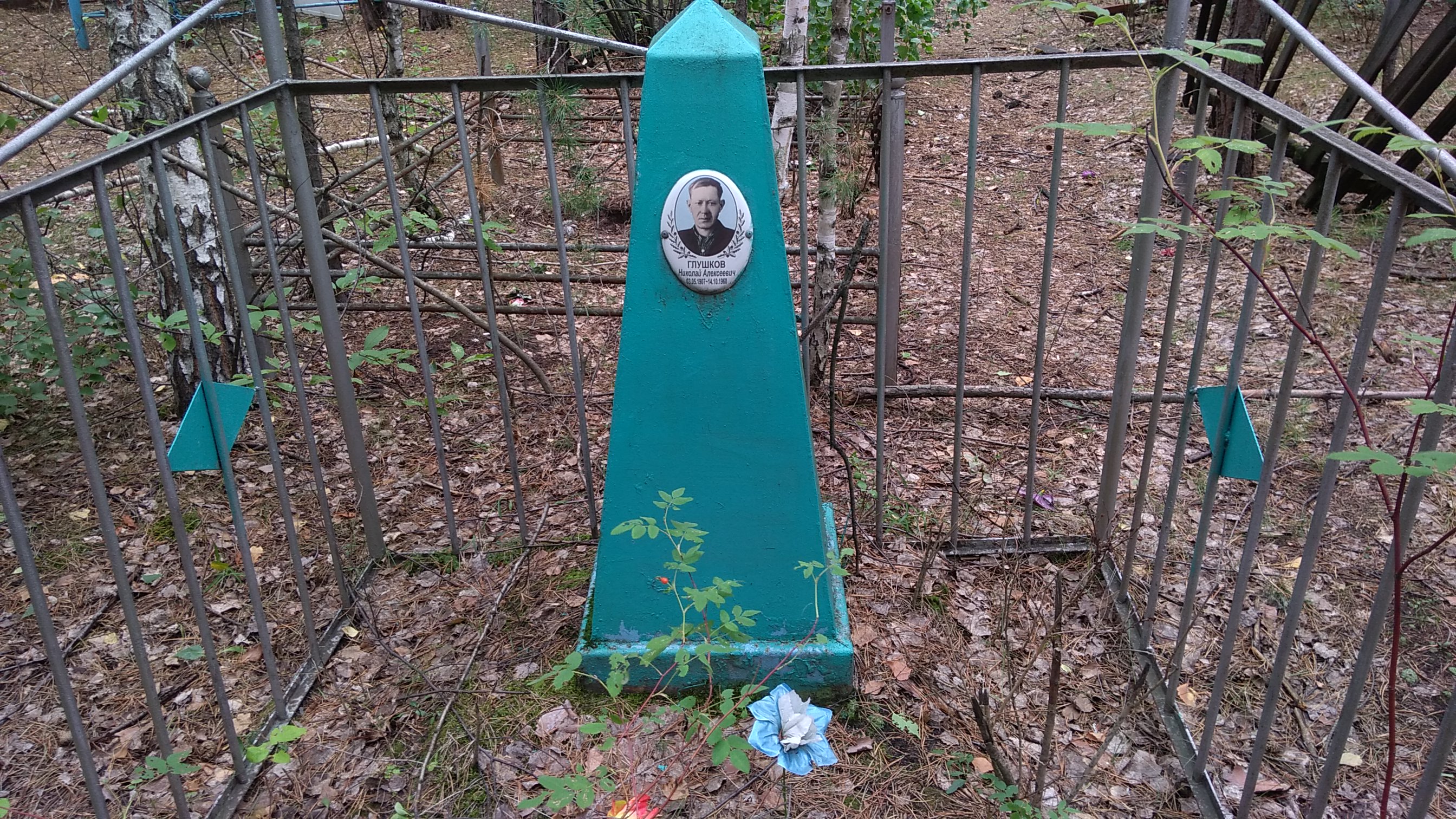 Глушков Николай Алексеевич