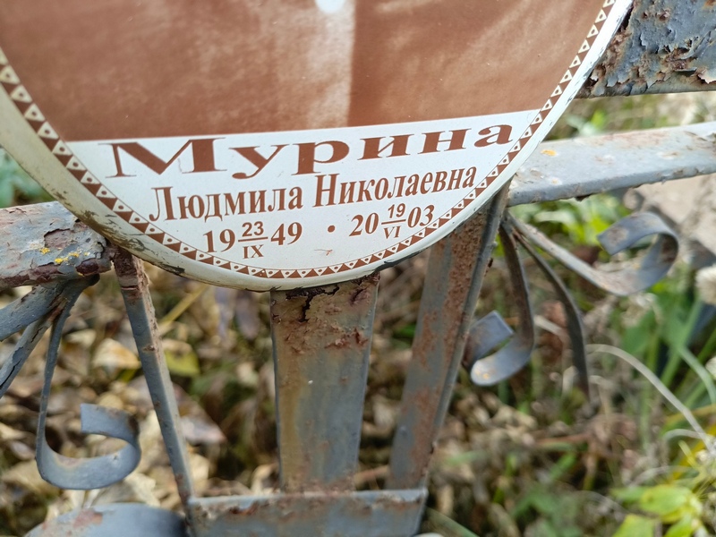 Мурина