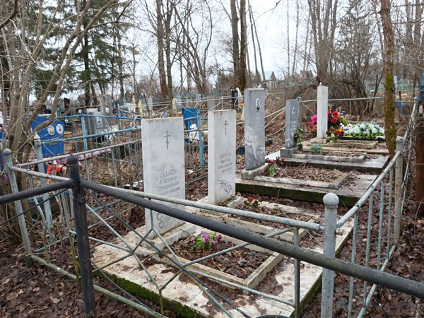 Дерягина Анастасия Александровна