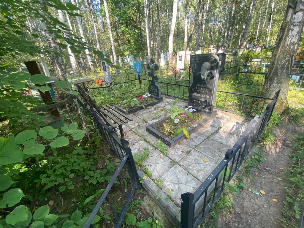 Баев Алексей Петрович