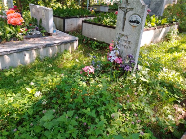 Частиков Александр Григорьевич