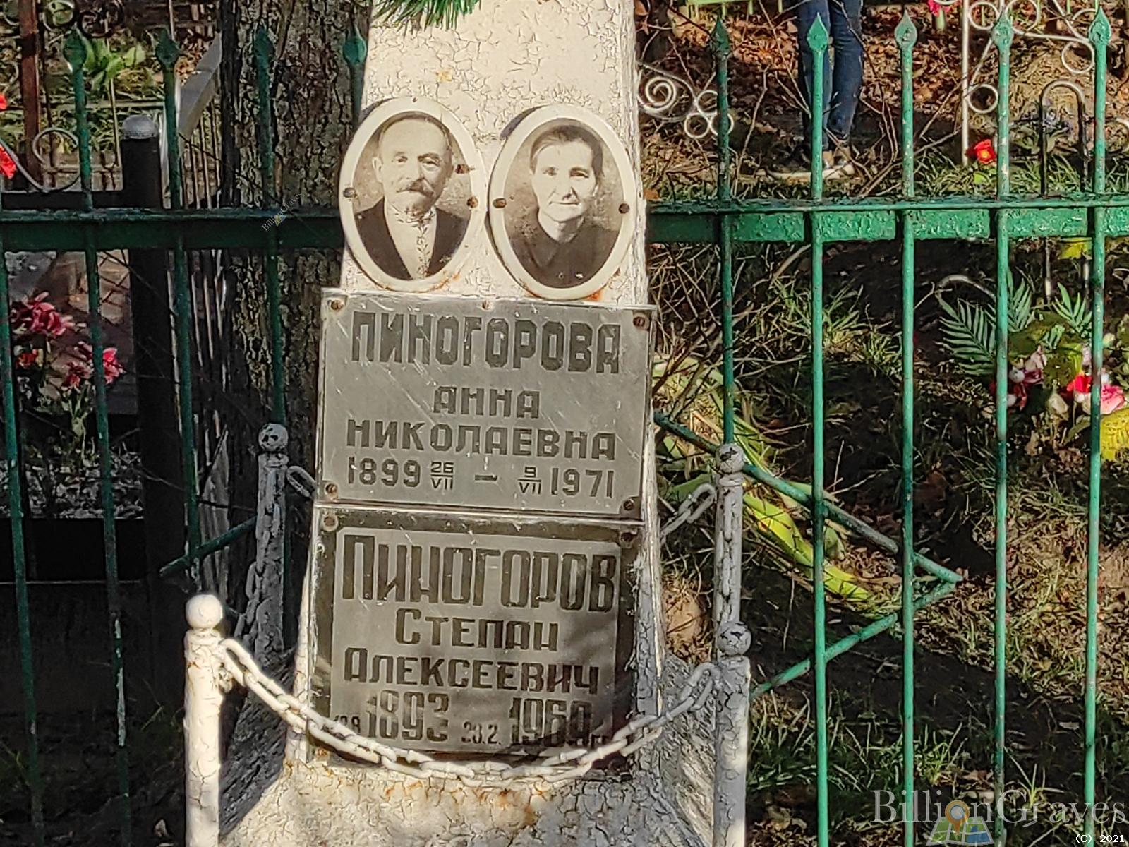 Пиногорова Анна Николаевна