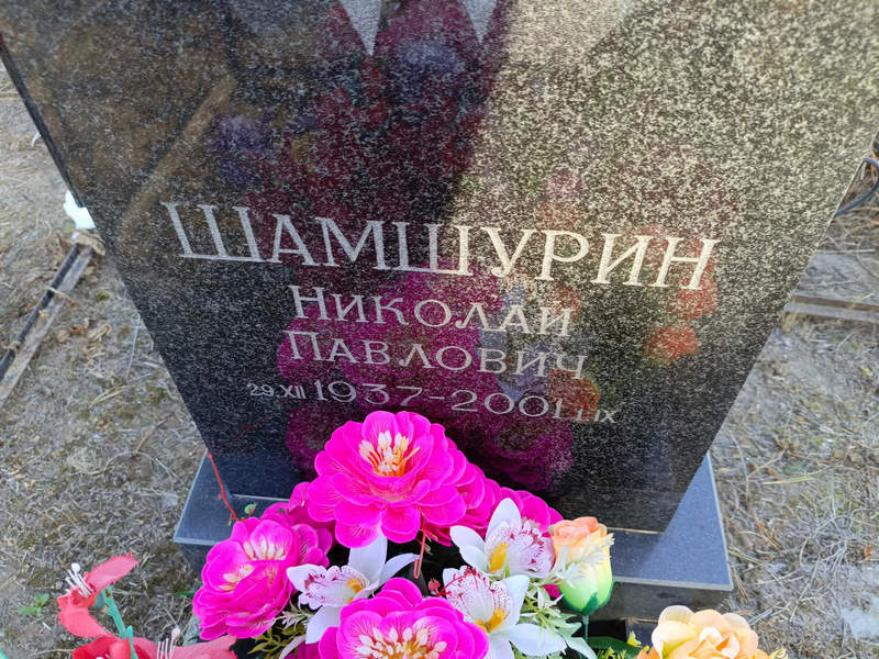 Шамшурин