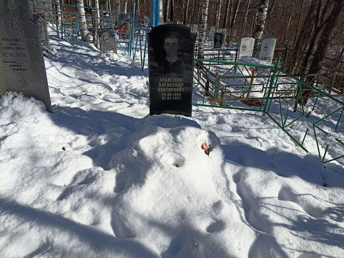 Милешин Александр Викторович