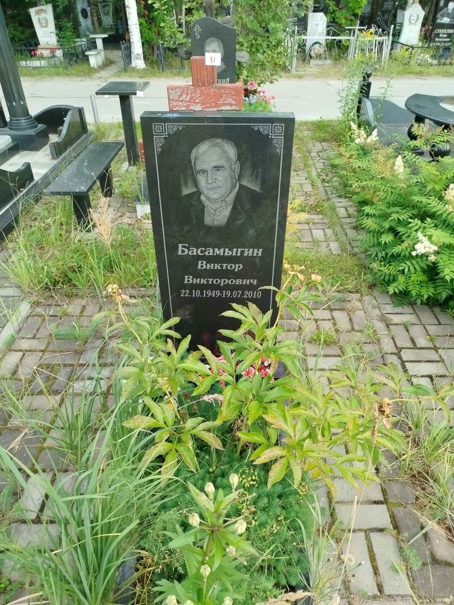 Басамыгин Виктор Викторович