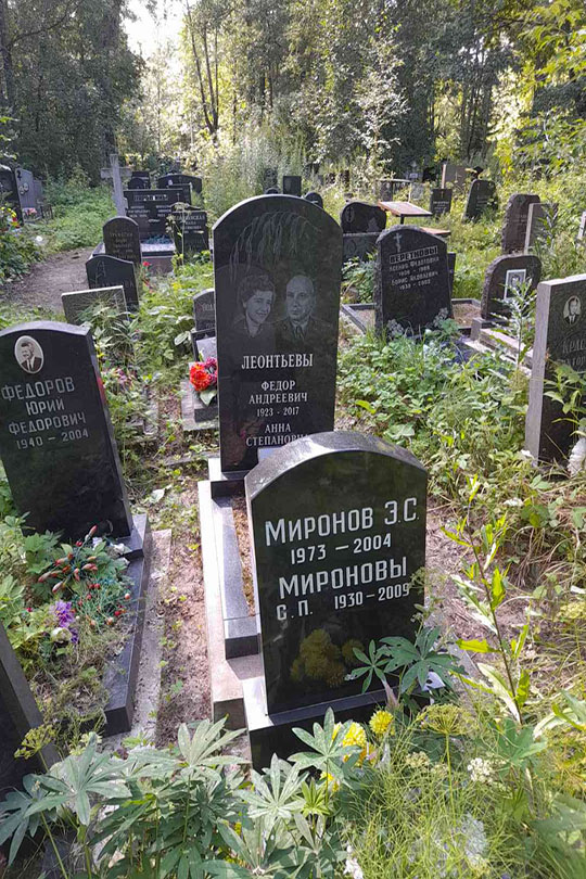 Миронов Э. С.
