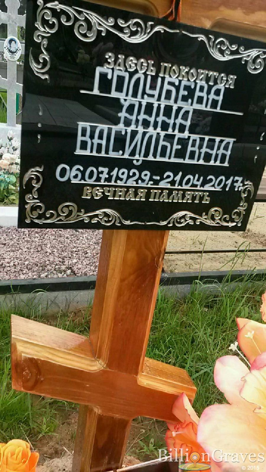 голубева анна васильевна