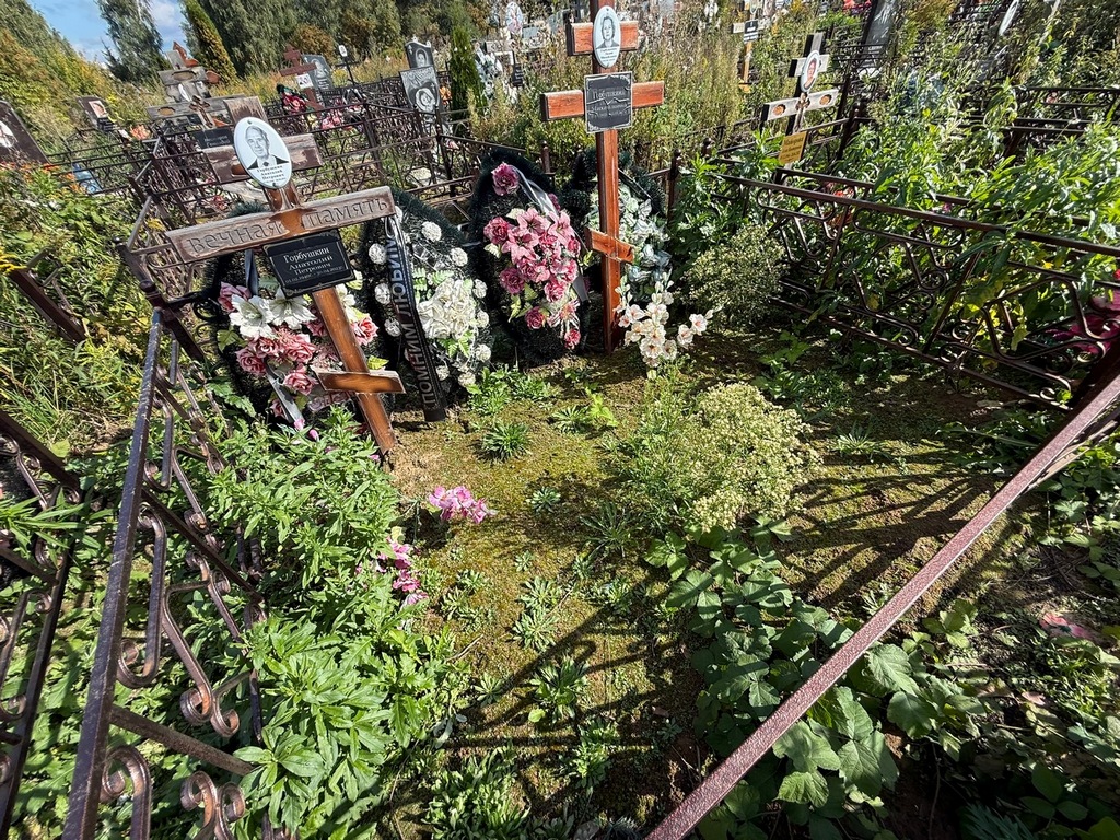 Горбушкин Анатолий Петрович