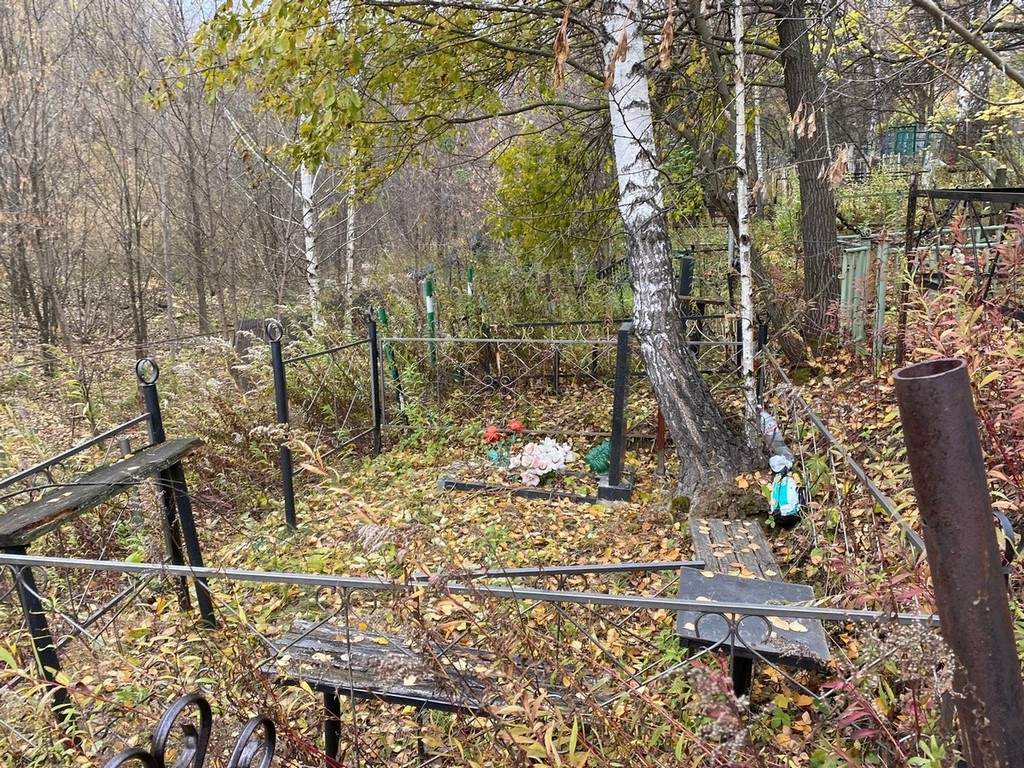 Гоева Алла Федоровна
