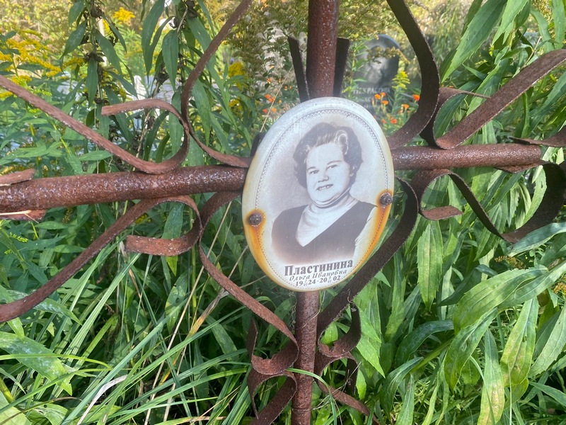Пластинина