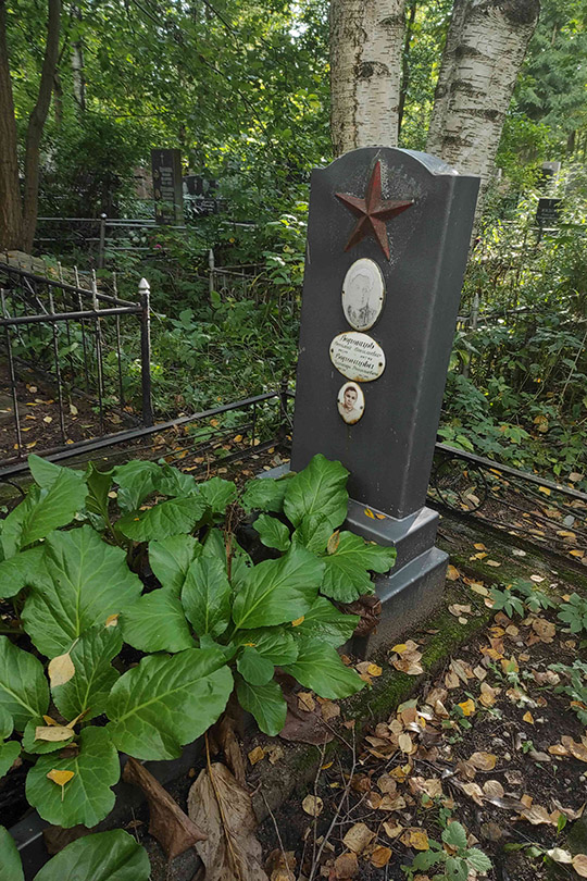 Воронцов Василий Васильевич