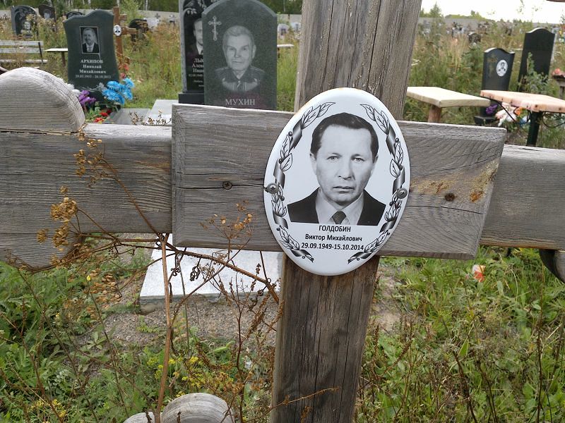 Голдобин