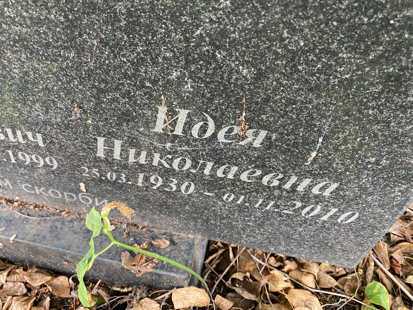 Идея Проворова Николаевна