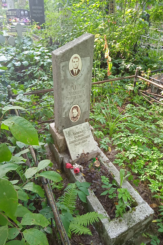 Лапин Алексей Сергеевич