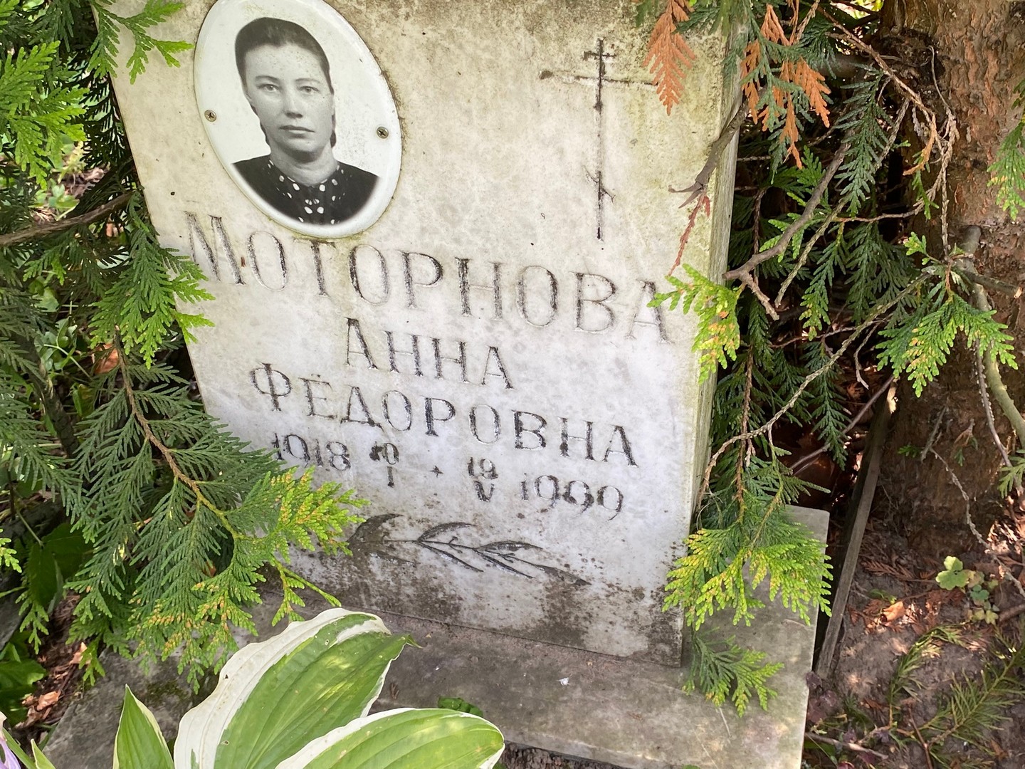 Моторнова