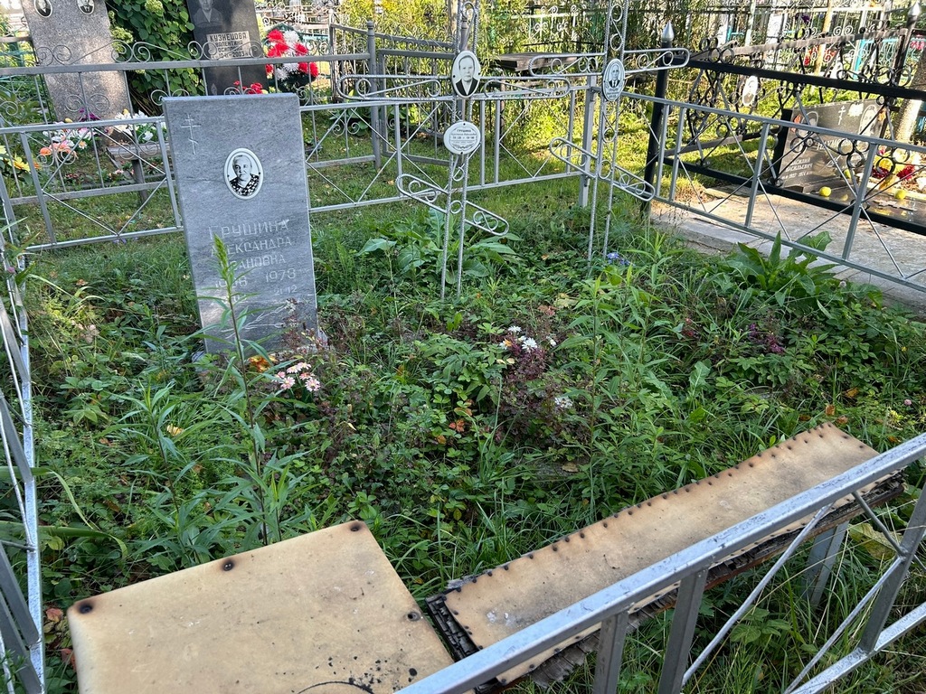 Грушин Николай Александрович