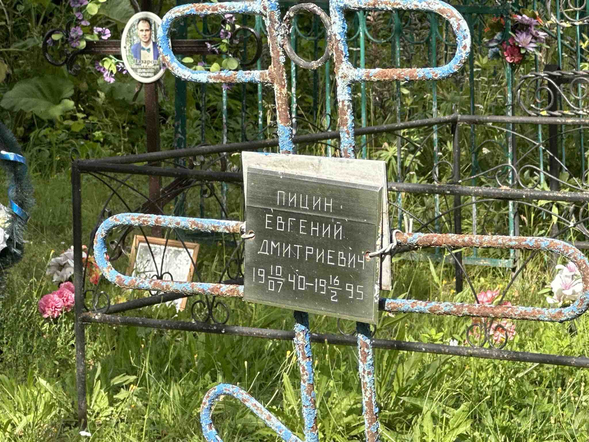 Пицин Евгений Дмитриевич